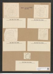 Campylodiscus horologium Williams. (de-Toni-Nr.: Genus 57, Species 2458) Zeichnungen Sammlung Grunow Nr. 4947 (NHMW-BOT-W0373164)